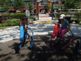 DSCN1704.JPG