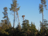 DSCN1814.JPG