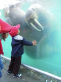 DSCN1475.JPG