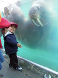 DSCN1476.JPG