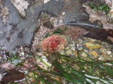 DSCN3345.JPG