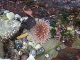 DSCN3370.JPG