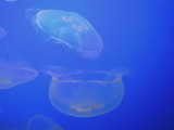 DSCN3387.JPG