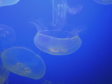DSCN3388.JPG