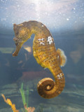DSCN3429.JPG