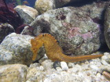 DSCN3430.JPG