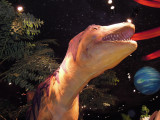 DSCN4256.JPG