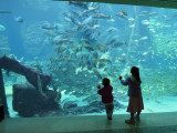 DSCN4462.JPG
