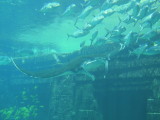 DSCN4479.JPG