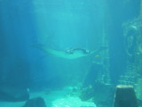 DSCN4484.JPG