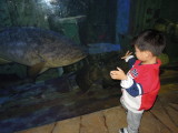 DSCN4497.JPG