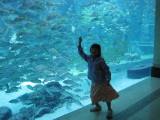 IMG_1087.JPG