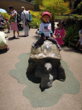 DSCN5377.JPG