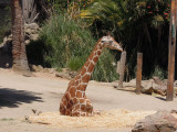 DSCN5392.JPG