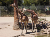 DSCN5405.JPG