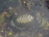 DSCN5469.JPG
