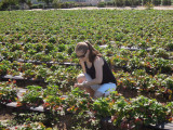 DSCN5663.JPG