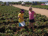 DSCN5664.JPG