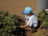 DSCN5666.JPG
