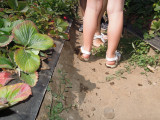 DSCN5673.JPG