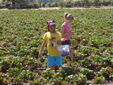 DSCN5674.JPG