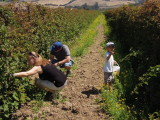 DSCN5682.JPG