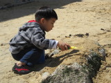 IMG_1392.JPG