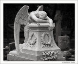 Untitled #02, Glenwood Cemetery, Houston