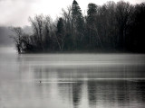 Orchard Lake Morning