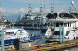 Nanaimo public dock