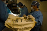 ds20110425-0493w.jpg