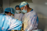 ds20110426-0085-1w.jpg