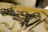 ds20110426-0173-1w.jpg