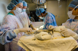 ds20110426-0192w.jpg