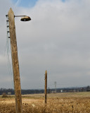 12/4/2011 - A failure to communicate?<br><font size=3>ds20111204-0111aw.jpg</font>