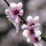 ds20120323-0017w.jpg