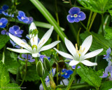 05/07/12 - Garden Visitors<br><font size=3>ds20120506-0208w.jpg</font>