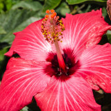 ds20120518-0081w.jpg