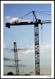 11/08/05 - Constant Change<br><font size=3>ds20051108b_0005awF Construction Cranes.jpg</font>