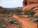 sedona_088.jpg