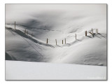 Winter Meadow / Weide in Winter (7296)