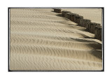 Beach in Domburg on a windy day