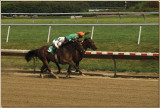 Delaware Park / Purse $40,000.00/ 3yr old and up / 6 furlong race