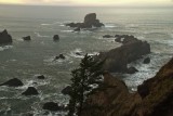 Oregon Coast_03.jpg