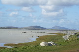 DSC06984.JPG