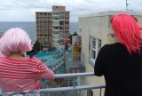 Pink wigs for everyone