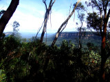 The Blue Mountain range in NSW