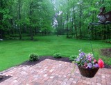 Rochester, backyard