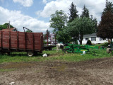 Bellinger frontyard