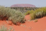 Uluru amongst bush